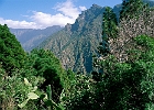 Am Eingang zum Nationalpark der Caldera befindet sich der Weiler Hacienda del Cura, am Hang der Schlucht von Angustias, auf etwa 600 Metern Meereshöhe. : Blühende Mandeln, Opuntien, Berge
